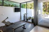 A Palo Alto Treehouse Designed Around Oaks and Redwoods