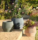Lawrence Concrete Planters