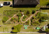 A Microforest Grows in New Orleans