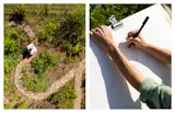The plants are tracked on a spreadsheet that details not only their species and common names but their role in the forest and notes about their quirks and other characteristics.