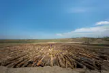 Washington biomass storage company Mast Reforestation positions itself as a forest management solution in the wake of wildfire events.  Photo 2 of 5 in Why Are We Burying All This Wood?