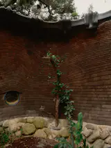 One of the home’s renter’s, Jade Spangler, installed a shower in the garden, which now sometimes doubles as a stage for shows.