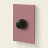 Dimwit Single Dimmer, Porto
