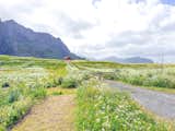 Wake Up to Fjord Views at This $1.5M Island Home in Norway