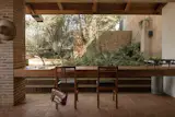 The courtyard has a mature ash tree surrounded by native ferns and bromeliads; it will connect to Constantino’s own house, which is under construction.