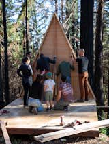 How to Build a Cabin With Your Friends