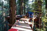 How to Build a Cabin With Your Friends