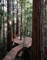 How to Build a Cabin With Your Friends