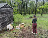Just a day and a half after installing the bees, a bear ripped the hive apart during a rainstorm.