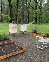 What to Expect If You Want to Be a Backyard Beekeeper
