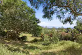 California’s First Passive Solar House Lists Again at Nearly Half Its Previous Asking Price - Photo 25 of 26 - 