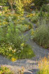 You Should Try a Gravel Garden