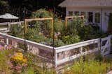 How Food Influencer Dan Pelosi Built an Upstate New York Garden Where Everyone’s Invited