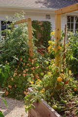 How Food Influencer Dan Pelosi Built an Upstate New York Garden Where Everyone’s Invited