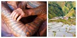 Can Traditional Tattoos Help Us Understand Architectural History?