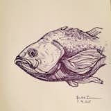 #fish #molskine  #sketch with a #bic  Photo 6 of 12 in Sketchbook by Stephen Blake