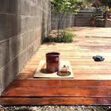Ready. Set. Stain!