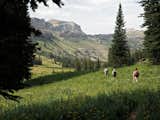 Hike back to camp. Death Canyon is full of wildlife and wild flowers. The journey is the destination. Grand Teton National Park.