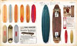 The Disposable Skateboard Bible - Gingko Press