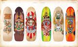 The Disposable Skateboard Bible - Gingko Press