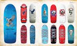 The Disposable Skateboard Bible - Gingko Press
