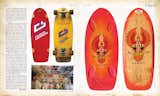 The Disposable Skateboard Bible - Gingko Press