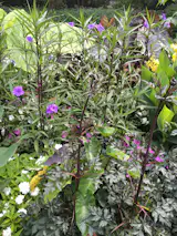 Cantigny park's botanical gardens are fantastic. World War I veteran, Colonel Robert R. McCormick, lead the "Battle of Cantigny" in 1918 France. He returned to Illinois and renamed his estate Cantigny and built the gardens.