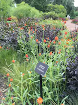 Cantigny park's botanical gardens are fantastic. World War I veteran, Colonel Robert R. McCormick, lead the "Battle of Cantigny" in 1918 France. He returned to Illinois and renamed his estate Cantigny and built the gardens.