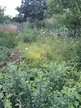 Cantigny park's botanical gardens are fantastic. World War I veteran, Colonel Robert R. McCormick, lead the "Battle of Cantigny" in 1918 France. He returned to Illinois and renamed his estate Cantigny and built the gardens.