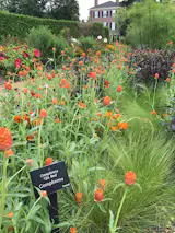 Cantigny park's botanical gardens are fantastic. World War I veteran, Colonel Robert R. McCormick, lead the "Battle of Cantigny" in 1918 France. He returned to Illinois and renamed his estate Cantigny and built the gardens.