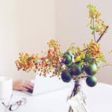 #florealm
#fresh
#flowers
#sanfrancisco
#minimal
#florist
#office
#officespace
