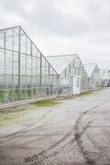 Florealm gathers many of their blooms from the area around Half Moon Bay, which is where you can find these serene greenhouses that line the road leading up to the beach.