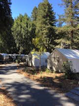 AutoCamp in Guerneville, CA
#AutoCamp #Guerneville #California #Airstream #Tents #Glamping #Redwoods  Photo 5 of 17 in AutoCamp, Guerneville CA by Brian Karo