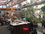Coolest kitchen in West Marin 