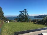 Tiburon done well