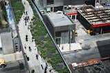 The High Line in New York City successfully transformed an out-of-use elevated railway on Manhattan's west side into a public park that merges art, landscape, and architecture.