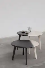 Dahlia Collection by Alexander Mueller