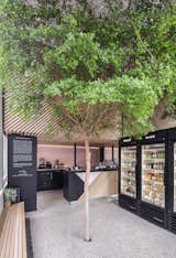 In the basement of this tiny Dutch juice shop, the tree rests in a bucket of fertile soil and is connected to irrigation.&nbsp;
