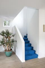 Cobalt blue carpet by Object Carpet leads to the second floor.