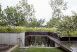 Stained cedar, ipe, and concrete form the 2,500-square-foot home's modern palette. Indigenous wildflowers and native grasses grow on top of the structure; this planted roof also helps insulate the home and limit its energy needs.