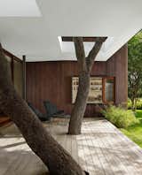 Alterstudio Architecture designed this house in Austin, Texas  Photo 13 of 17 in dappled light by Chris Cantrell from Exterior Concepts
