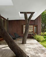 Alterstudio Architecture designed this house in Austin, Texas