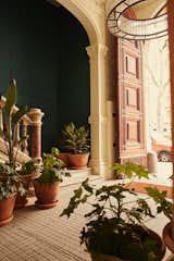 In the main corridor of the refreshed 19th century building, lush potted plants from Alejandra Coll of Asilvestrada Plants sit on top of original mosaic floors.&nbsp;