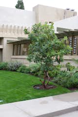 Looking at the long hallway from the exterior of the house at Frank Lloyd Wright's Hollyhock House.