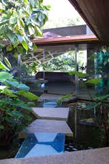 Above the pond is an opening that allows the whole house to feel connected to the outdoors.