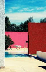 Luis Barragon; via Hutton