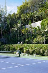 Goldstein's jungle extends over four acres of the property and lines the infinity tennis court.