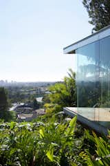 One of the first projects Goldstein and Lautner did together to renovate the house was implement seamless glass throughout the residence, which created a connection to the outdoors that remains consistent throughout the entire property. Many of the windows were updated to open automatically.