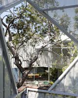 Outdoor  Photo 6 of 10 in A Perforated Screen Brings Privacy and Natural Light to This Bold Venice Home