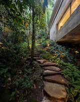 The Jungle House